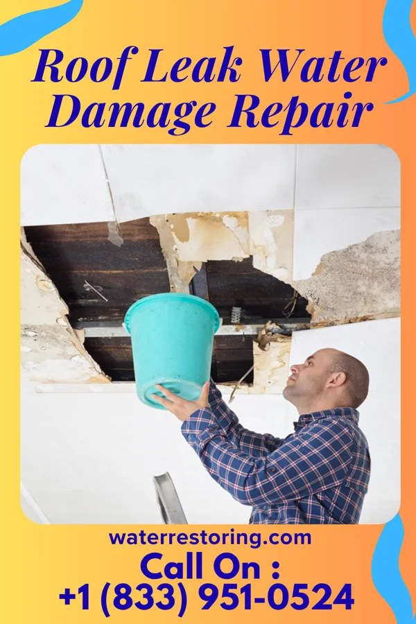 Roof Leak Water Damage Repair in Thompson, IA