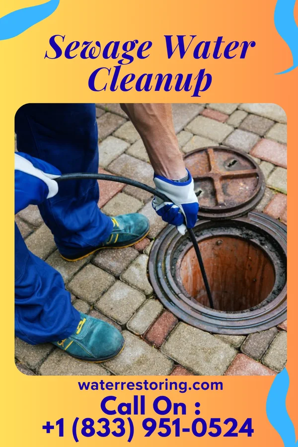 Sewage Water Cleanup in Thompson, IA